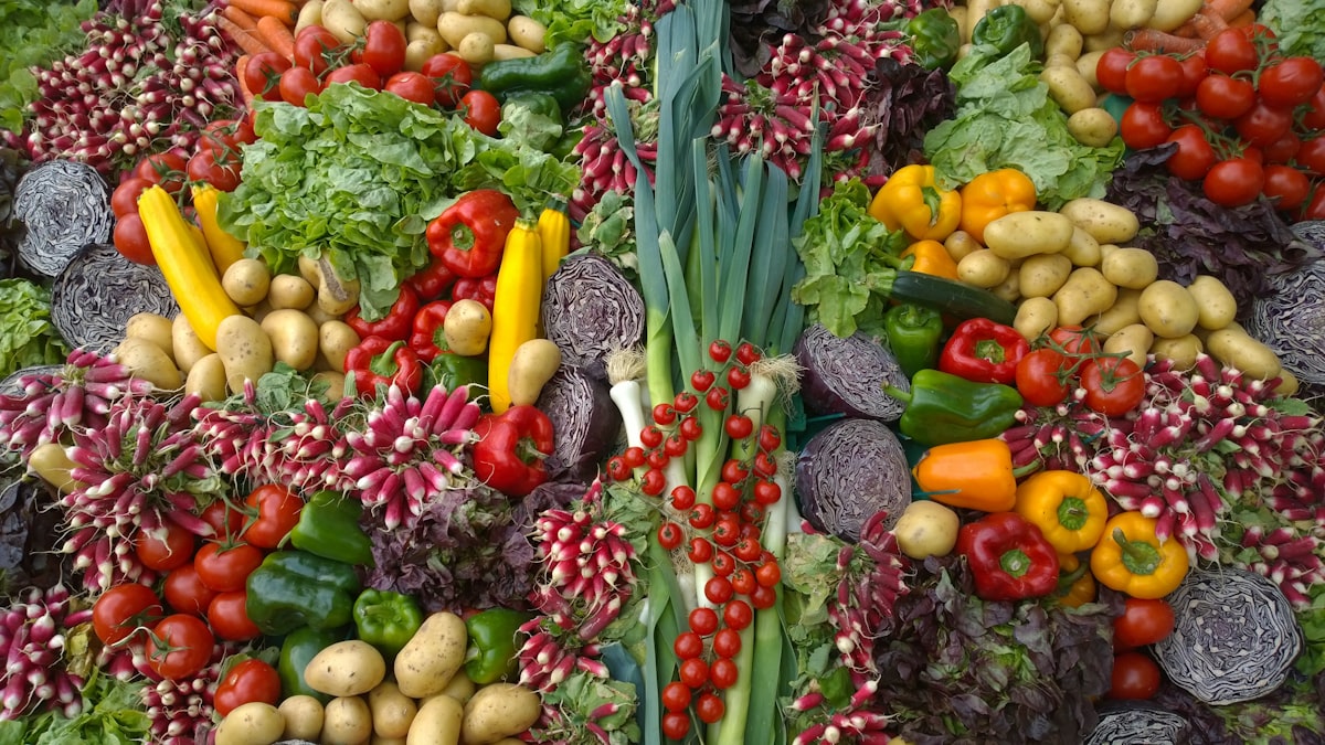 Understanding balanced macronutrients